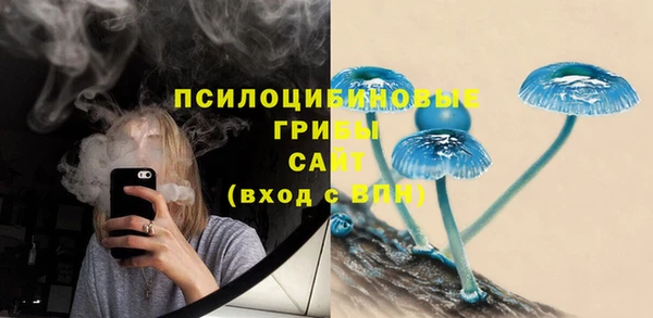 мяу мяу мука Иннополис