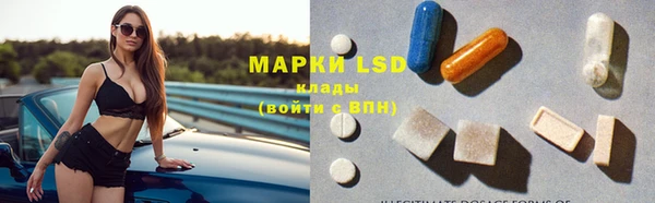 мяу мяу мука Иннополис