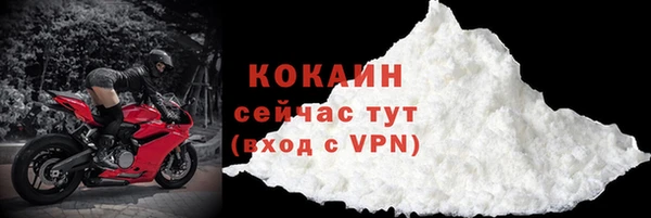 мяу мяу мука Иннополис
