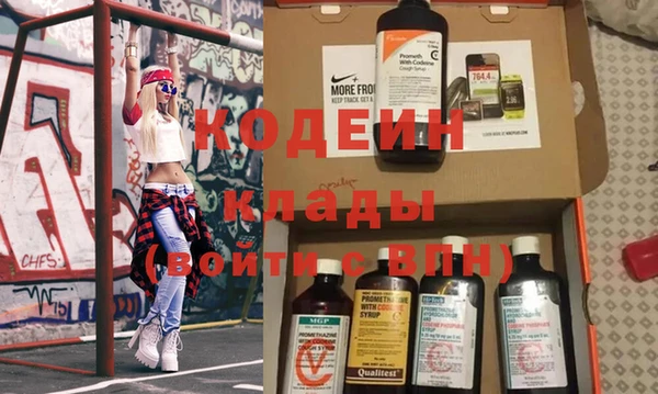 мяу мяу мука Иннополис