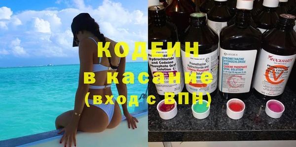 мяу мяу мука Иннополис