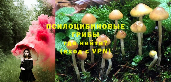 кристаллы Инта