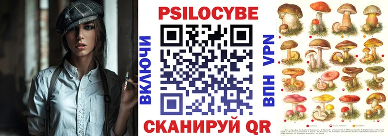 Купить где  Хотьково  Псилоцибиновые грибы Cubensis 